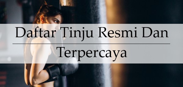 Daftar Tinju Resmi dan Terpercaya